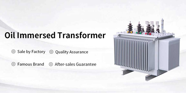 oil-immersed transformer